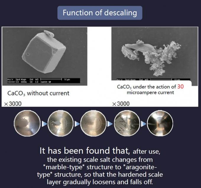ç½‘ç«™, æ—¥ç¨‹&egrav<!--[endif]--></span</span></span></p>
<p data-start=