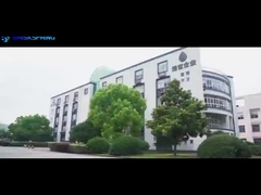 ব্রিকস্প্রিং ভূমিকা