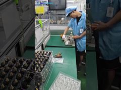 উজ্জ্বলবসন্ত