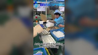 প্যাকিং আগে স্বয়ংক্রিয় ওজন চেকিং