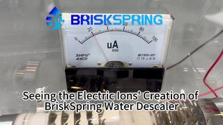 BriskSpring Water Descaler 3 এর বৈদ্যুতিক আয়ন তৈরি করা দেখা