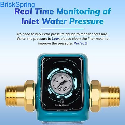 বাড়ির ব্যবহারের জন্য 5T/H ফ্লো রেট এবং স্ব-পরিষ্কার ডিজাইন সহ 3/4 ইঞ্চি জল প্রি-ফিল্টার