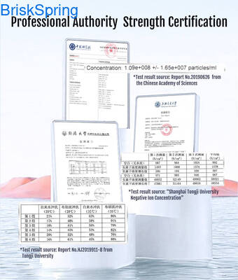 ফরেস্ট স্পা অভিজ্ঞতা অক্সিজেন আয়ন নিঃসরণ মাইক্রো ন্যানো বুদবুদ ঝরনার জন্য বায়ু সরবরাহকারী