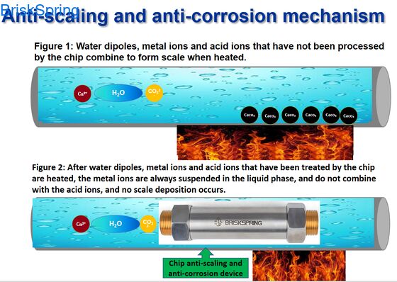 ৩/৪ ইঞ্চি সম্পূর্ণ বাড়ির লবণমুক্ত জল পরিশোধক, যা স্কেল প্রতিরোধ করে, নদীর গভীরতানির্ণয় রক্ষা করে, যন্ত্রপাতির জীবনকাল বাড়ায়, বাড়ির জল ব্যবস্থার জন্য পরিবেশ বান্ধব সমাধান