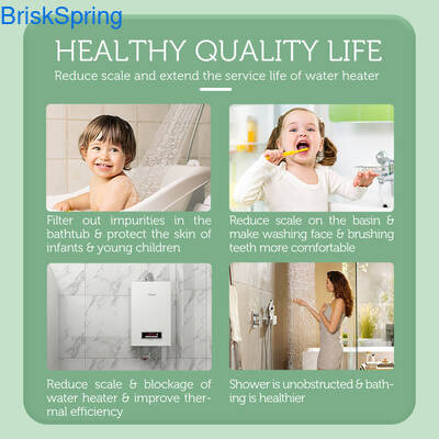 শক্তি সাশ্রয়ী জল স্কেল ইনহিবিটর, MSAP SS316L উপাদান এবং সমগ্র বাড়ির জল সরবরাহের জন্য প্রতি মিনিটে ১৬ লিটার প্রবাহ হার