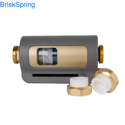 ৪০/১০০ মাইক্রন হোল হাউস স্পিন ডাউন সেডিমেন্ট ফিল্টার ডুয়াল ফিল্টারেশন সিস্টেম এবং সেলফ-ক্লিনিং ফিচার সহ