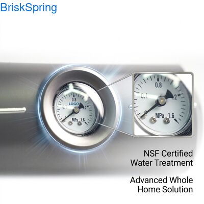 ব্রাস পুরো হাউস জল Descaler 5T / এইচ প্রবাহ NSF RoHS সার্টিফাইড