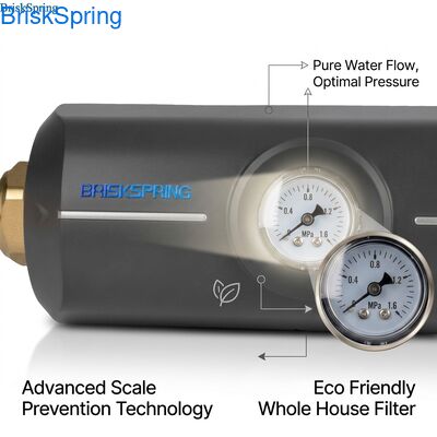 পরিবেশ বান্ধব অ-বিষাক্ত এবিএস বডি অ্যান্টি স্কেলিং ফিল্টার পুরো ঘর জল ডিসক্যালার