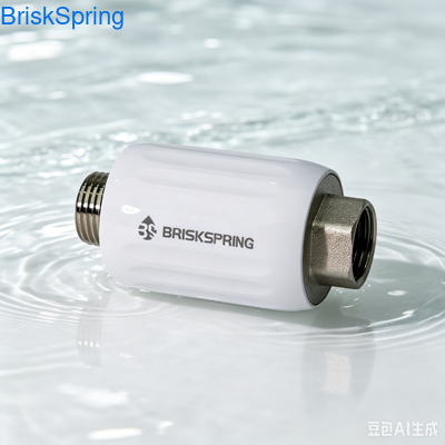 Mini Whole House Water Descaler Salt-Free Maintenance-Free System with Pure Physical Ion Polarization Technology